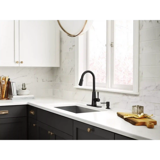 Trew One-Handle High Arc Pulldown Kitchen Faucet