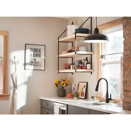 Haelyn One-Handle High Arc Pulldown Kitchen Faucet